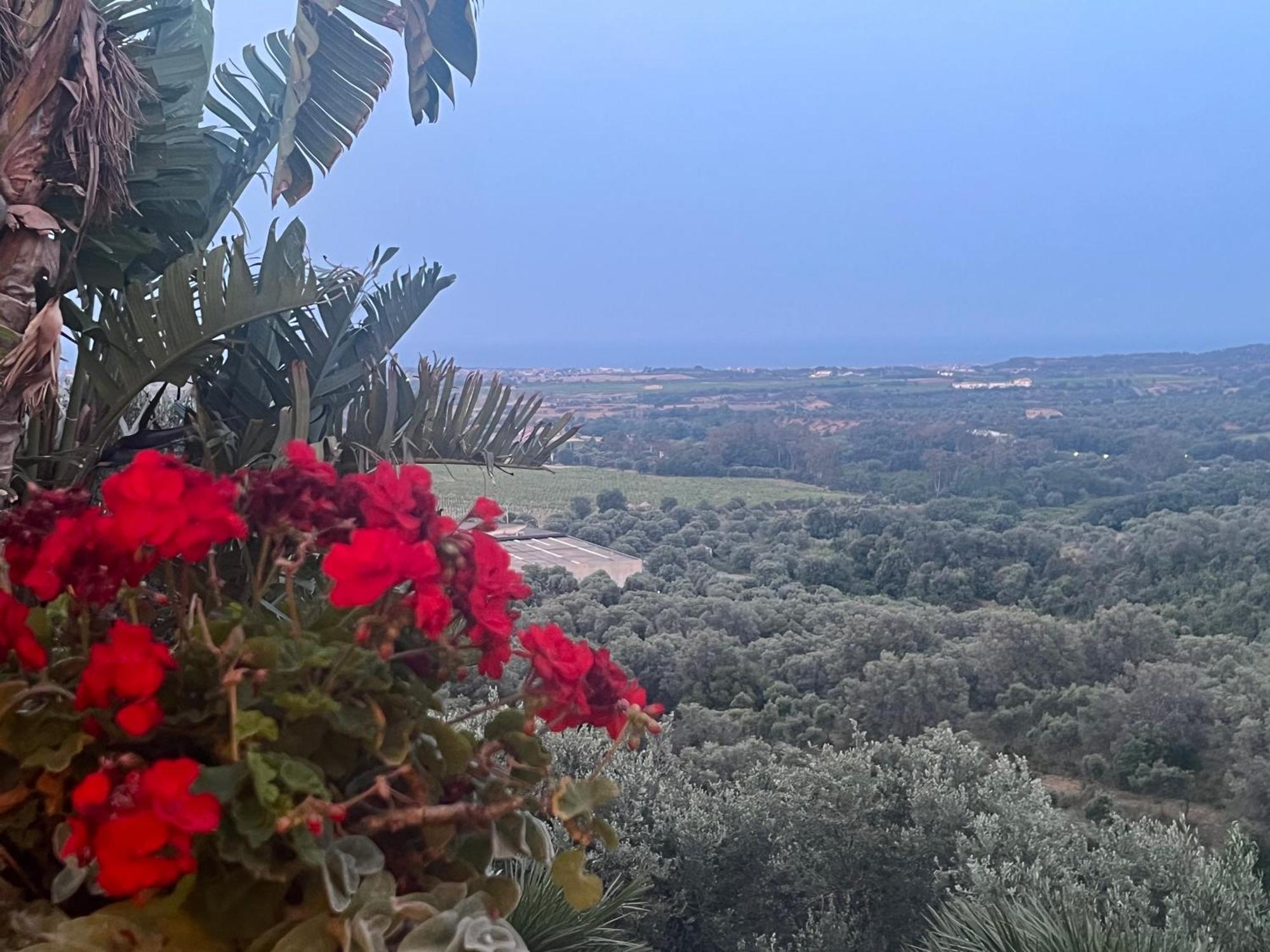 Agriturismo Catena Ciro Екстериор снимка